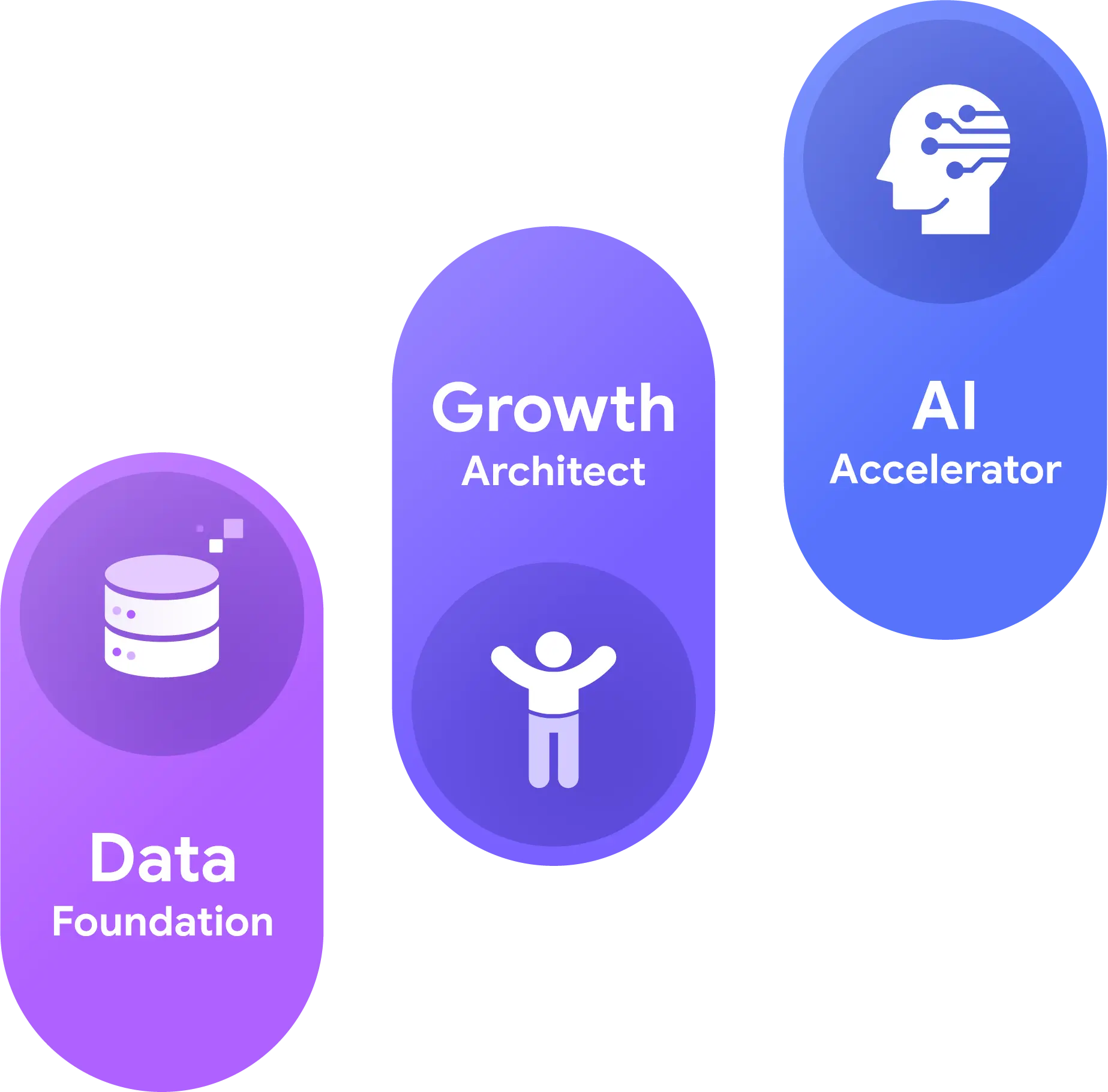 PangoCDP • From Data Foundation to AI-Driven Business Results